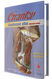 anatomski atlas grant 